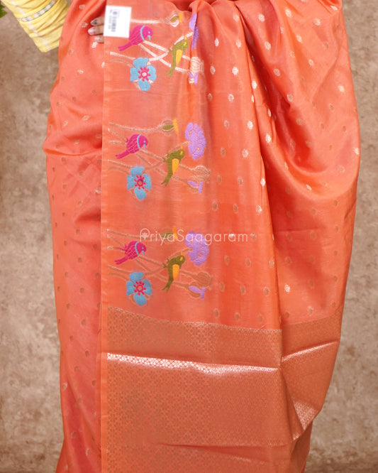 Blush Peach Zari Chiniya Silk - PD5337