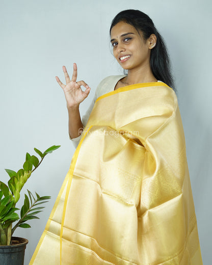 Golden Yellow Tissue Kanchipuram - N4803