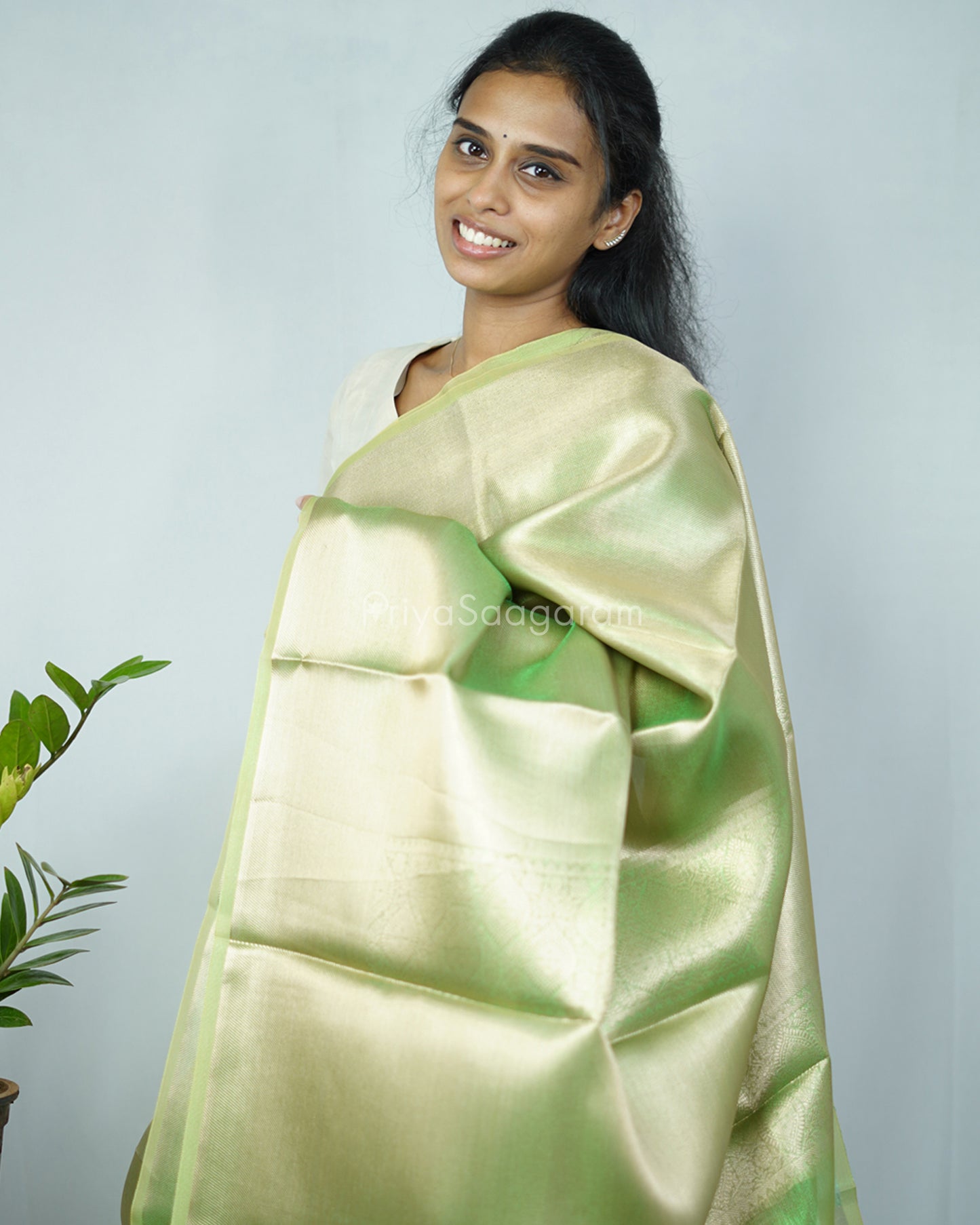 Golden Green Kanchipuram Tissue Silk - N4803