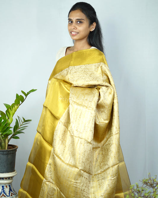 Nita Ambani Kanchipuram Tissue Silk - N4764