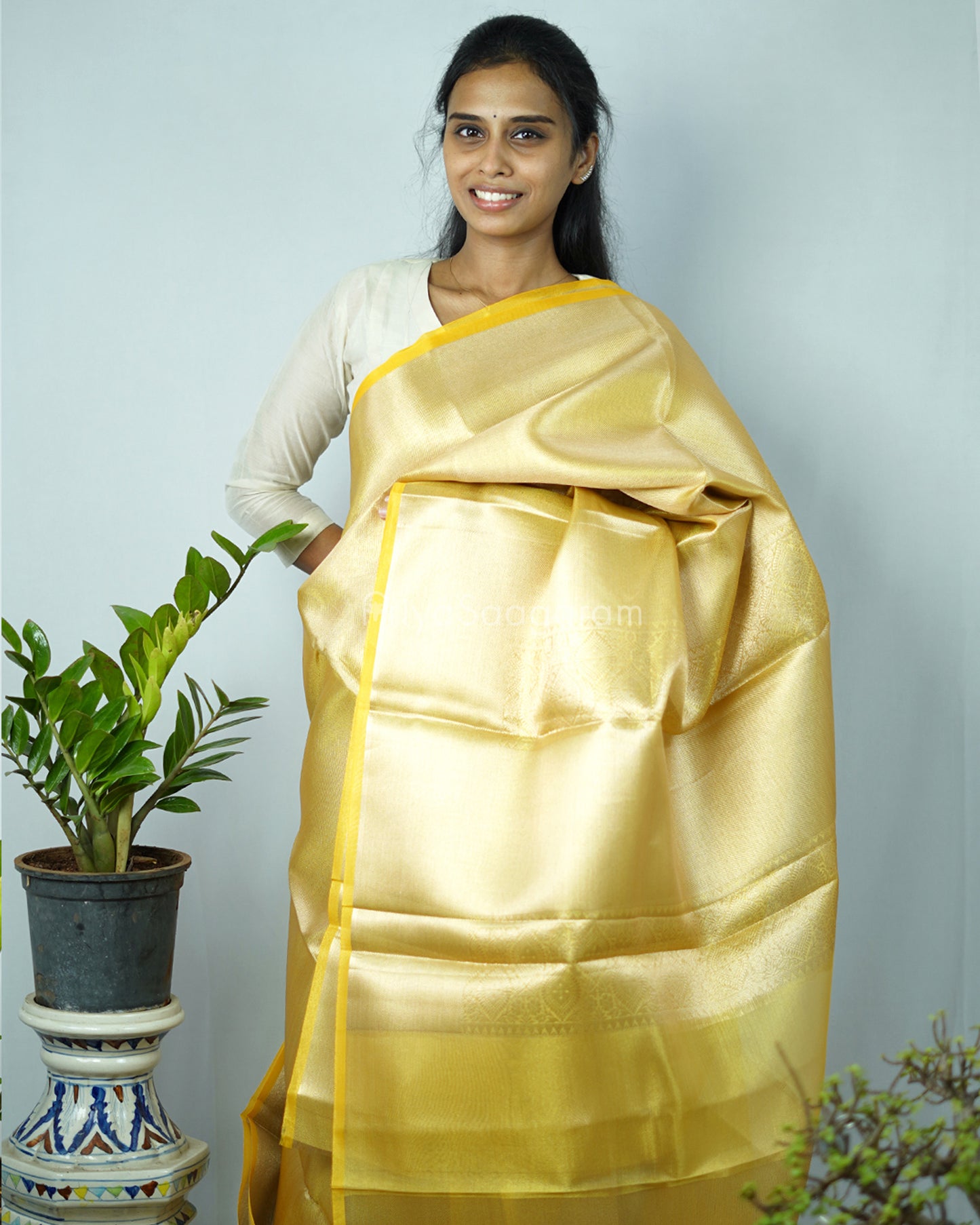 Golden Yellow Tissue Kanchipuram - N4803