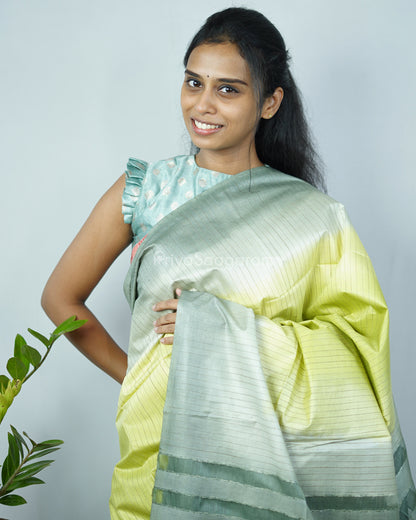 Green Shaded Tussar Organza - PD1220
