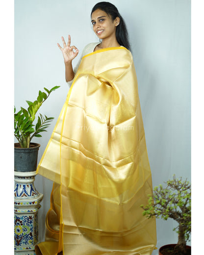 Golden Yellow Tissue Kanchipuram - N4803