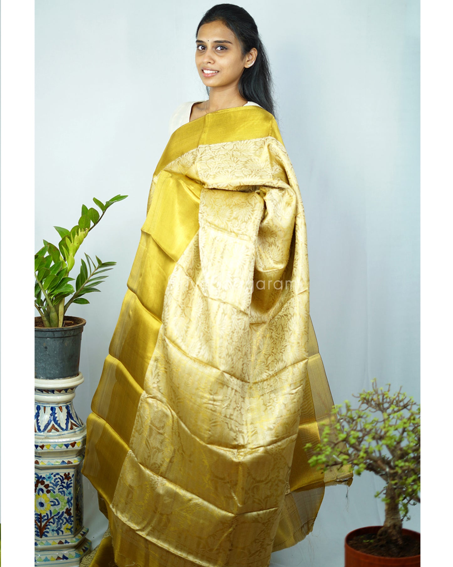 Nita Ambani Kanchipuram Tissue Silk - N4764