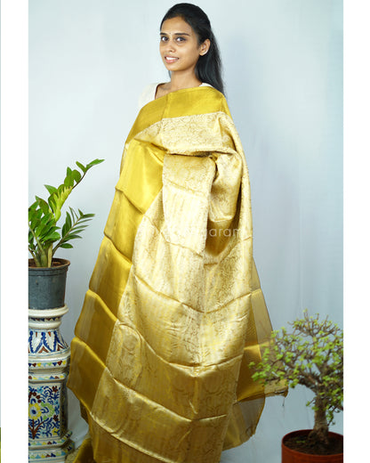 Nita Ambani Kanchipuram Tissue Silk - N4764