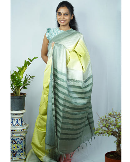 Green Shaded Tussar Organza - PD1220