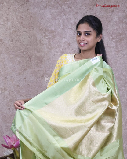 Golden Green Raw Mango Silk - PC3597