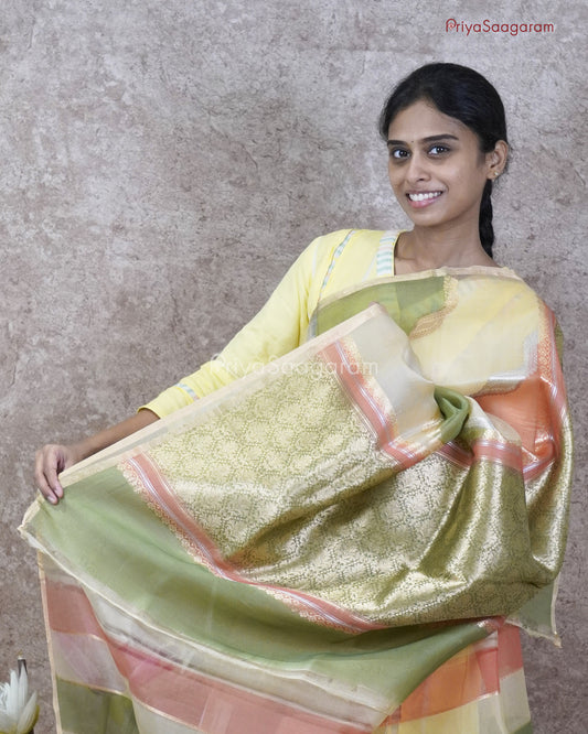 Curvy Hand Painted Kora Organza - PC3834