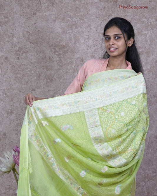 Green Embroidered Chiffon Georgette - PC3078
