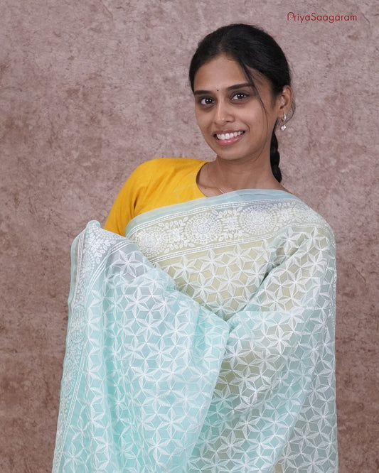 Ice Blue Chikankari Organza - PC3823