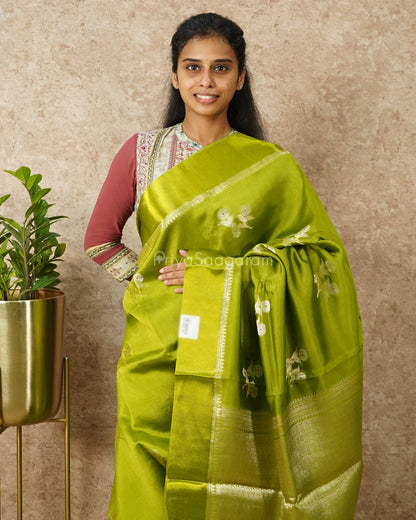Sheen Green Chiniya Silk - PD4561