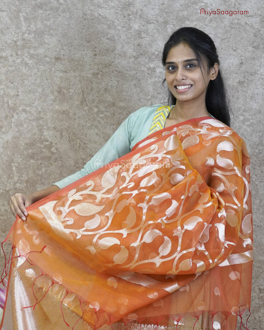 Bronze Zari Organza - PC3455