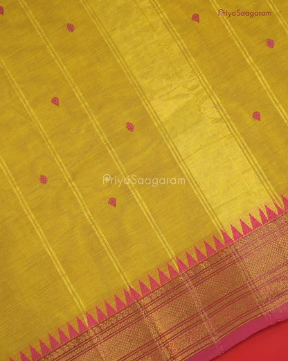 Harvest Yellow Chettinad Cotton - N81