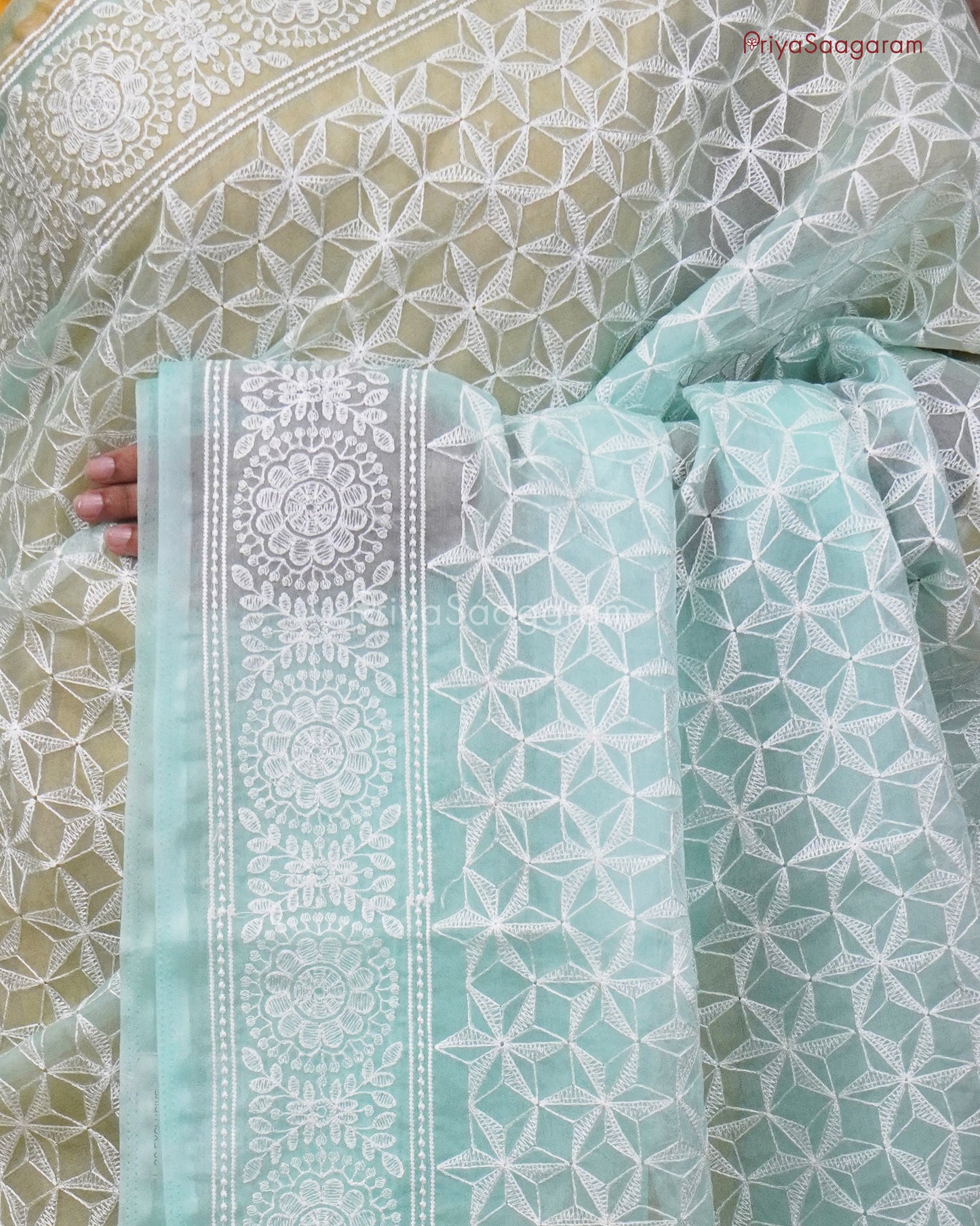 Ice Blue Chikankari Organza - PC3823