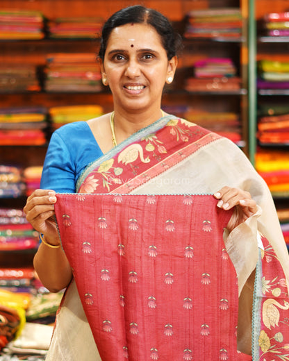 Ivory Printed Tussar Border Kora Silk - PE6532