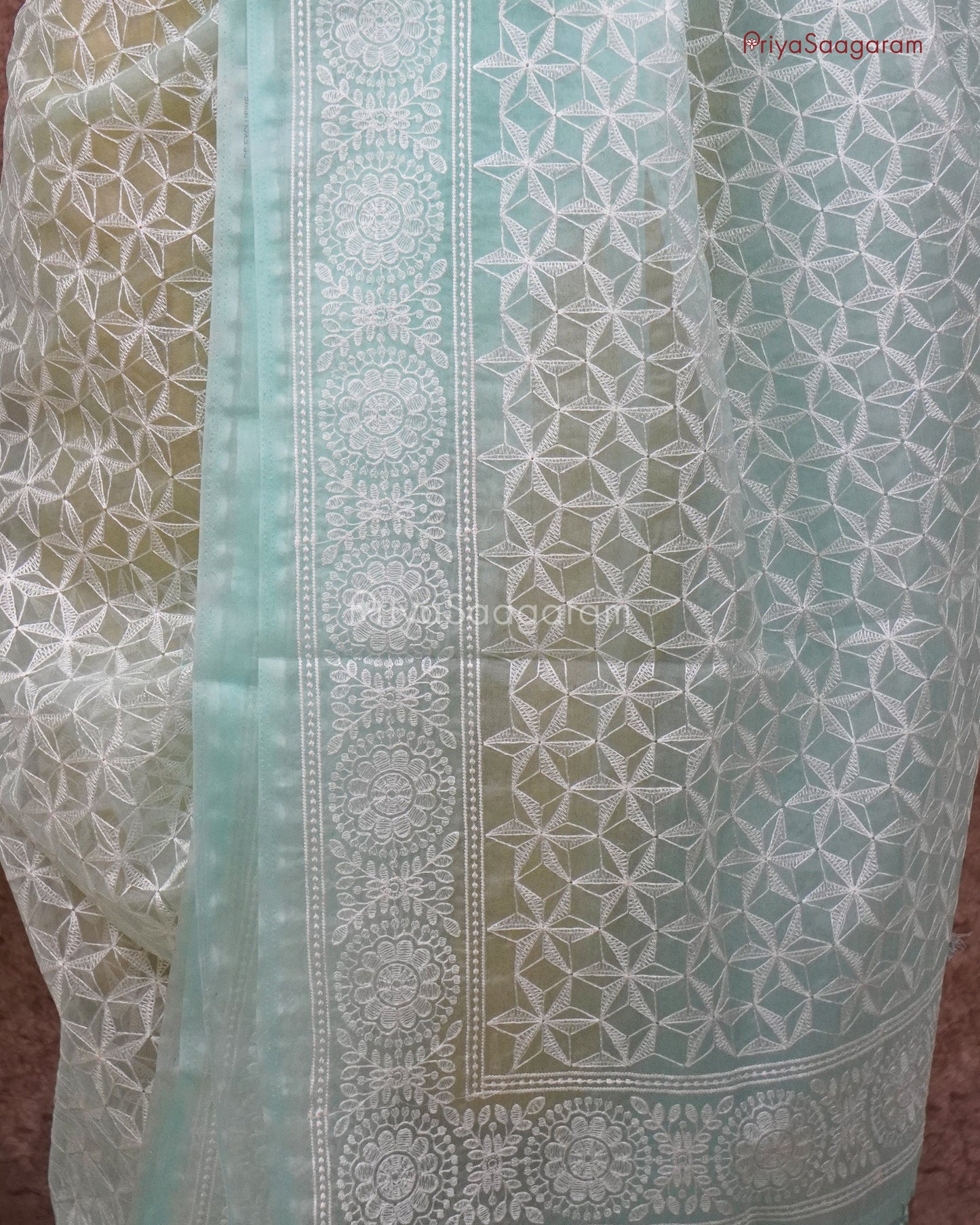 Ice Blue Chikankari Organza - PC3823