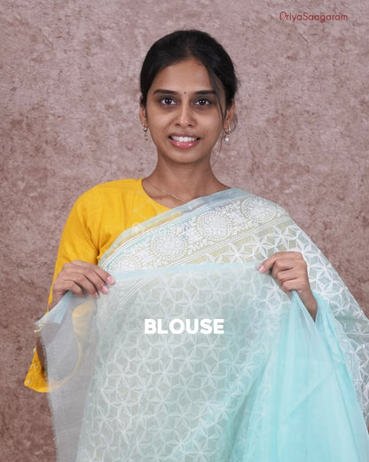 Ice Blue Chikankari Organza - PC3823